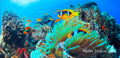 Badetuch Nemo green
