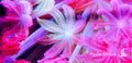 Badetuch pink soft Coral